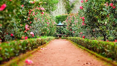 Giardino Segreto